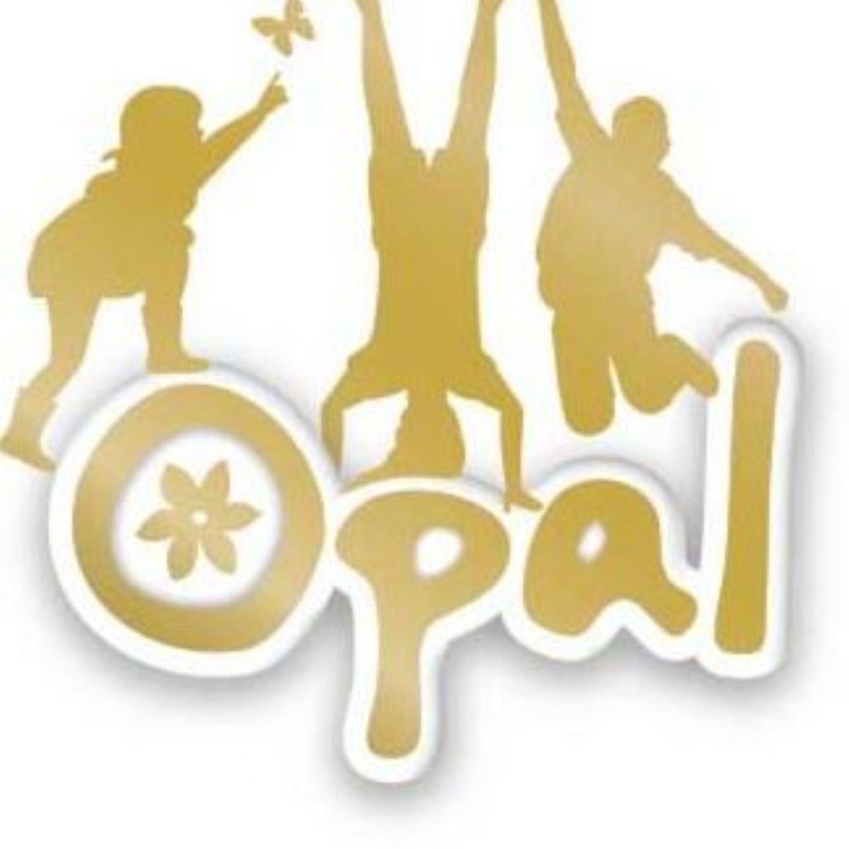 St Michael's C of E Primary School - GOLD OPAL AWARD